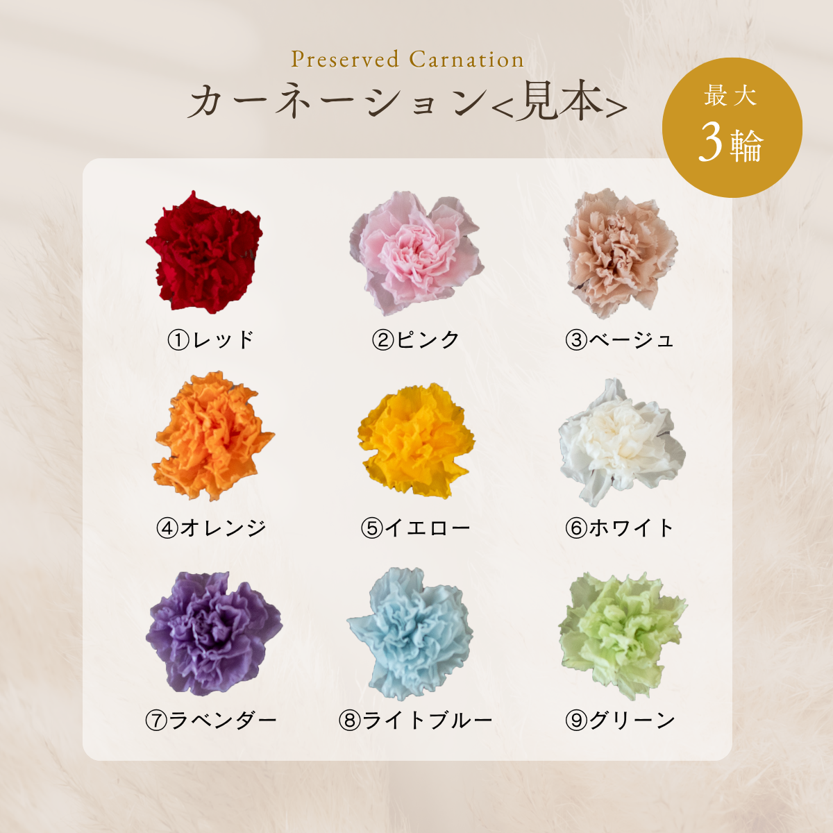 【母の日'26｜遅れてごめんね便】枯れないカーネーションの花束Sサイズ［選べるカーネーション］